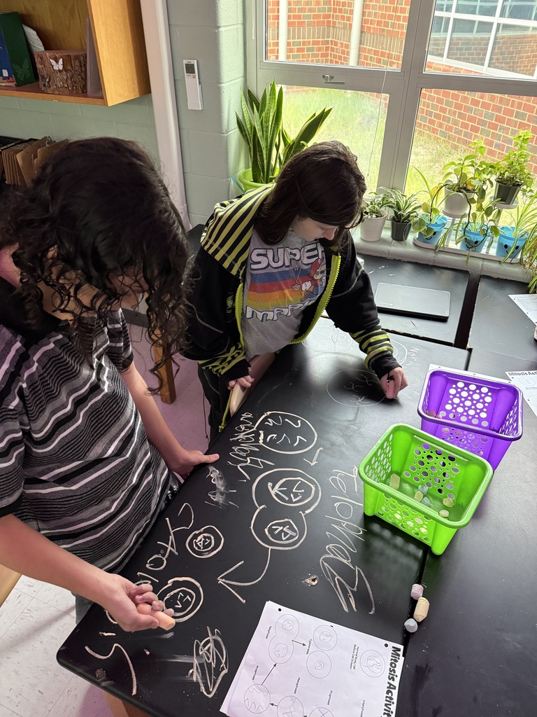 students drawing on table to demonstrate cell phases