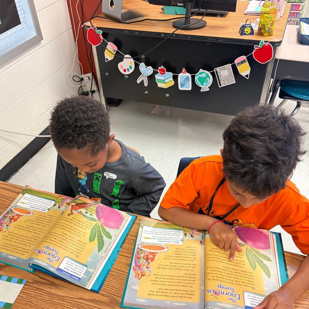 Partner reading