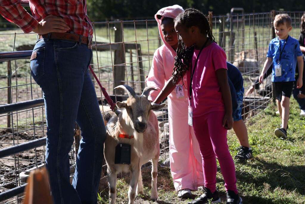 students pet a smiling goat