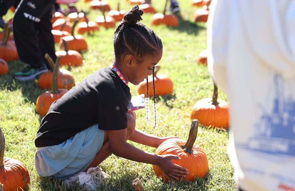 student picking out her pumpkin in patch