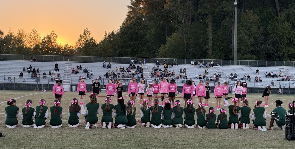 Two cheerleading teams.  One is standing in formation on the field with black skirts and pink tops.  The other team is kneeling, facing the other team.  They are wearing green skirts and tops.