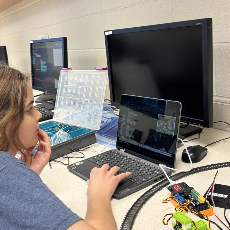 stem photos