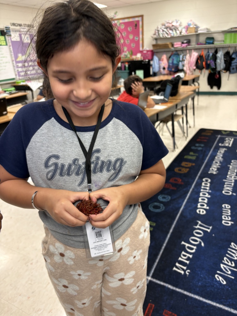 Student tries rambutan