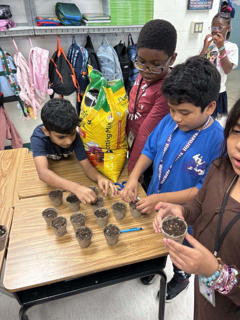Students planting rambutan.