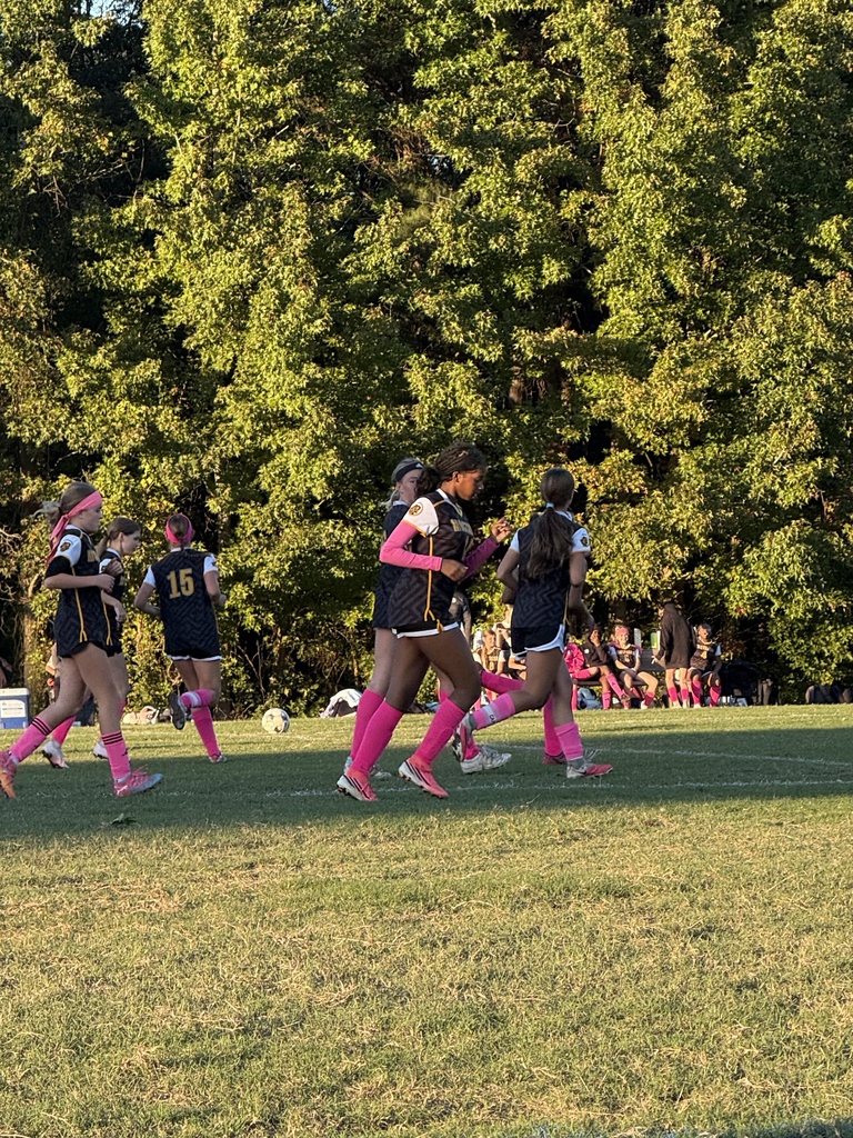 Five girl soccer players running on a field in pink, black and gold uniforms.