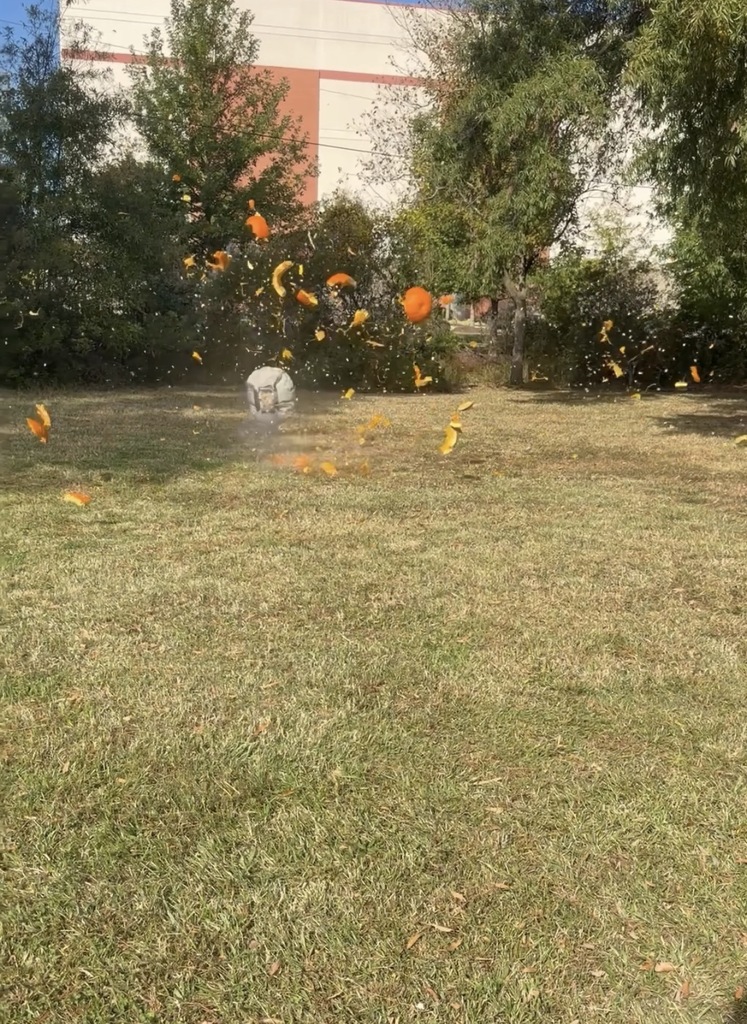 pumpkin exploding with an airbag