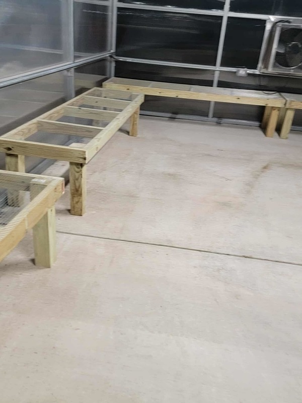 Greenhouse benches in place