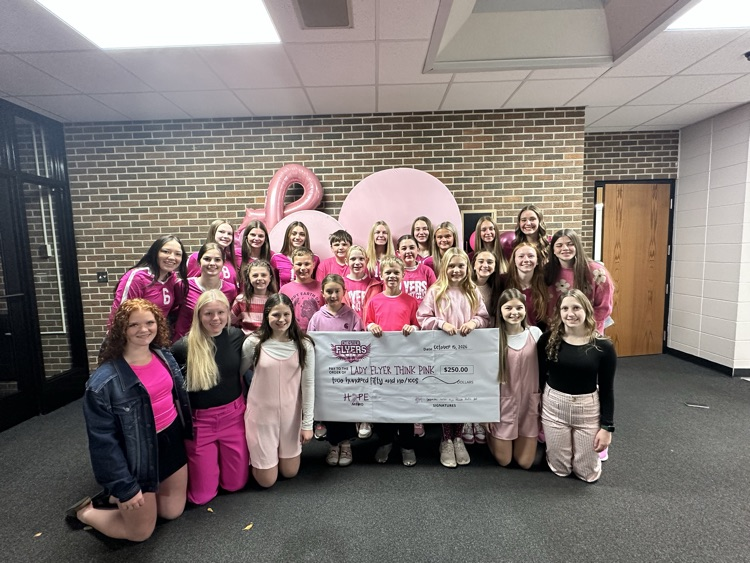 Lady Flyer VB Think Pink