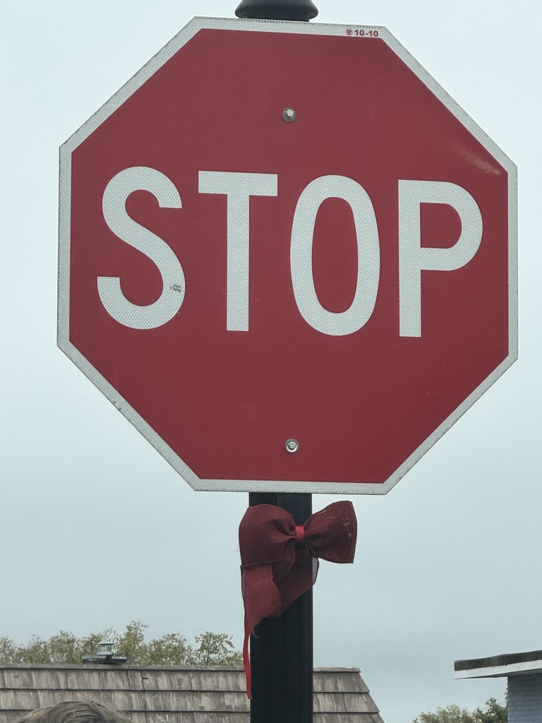 CHS SADD Red Ribbon Week 03