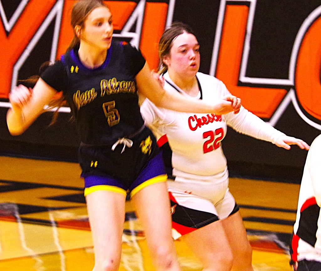 Photo 1 LJMWC CHS vs New Athens NATALIE GUETERSLOH