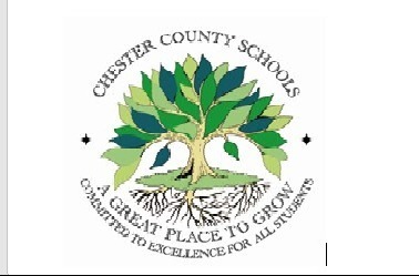 Electronic Device Policy