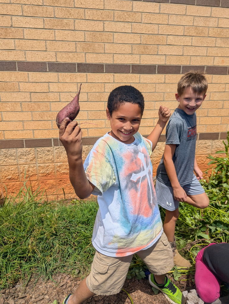 3rd grade students