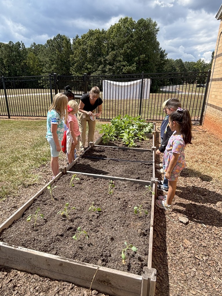 1st grade students