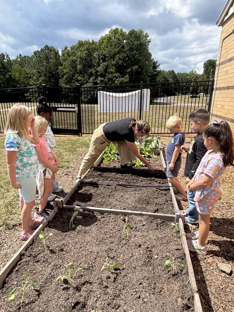 1st grade students