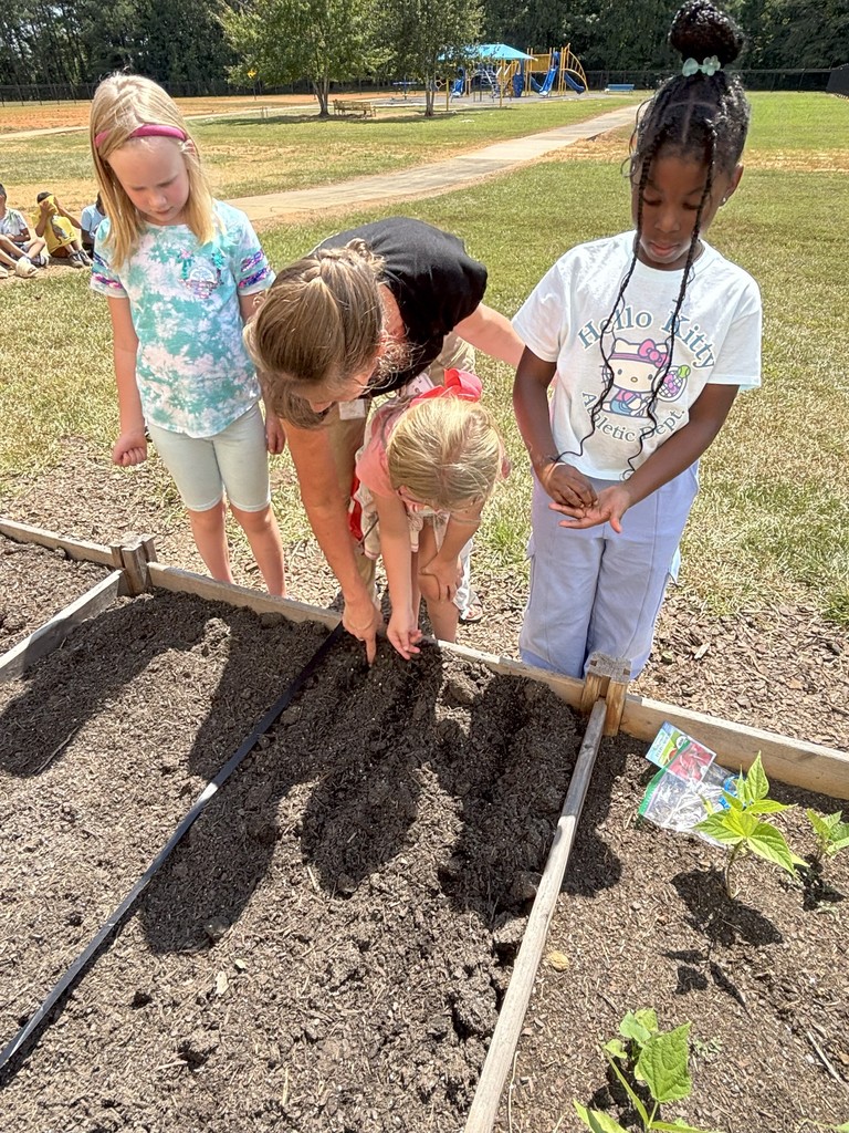 1st grade students