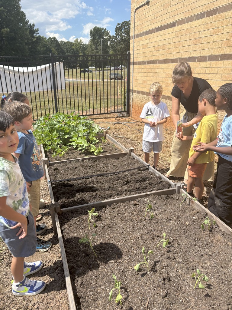 1st grade students