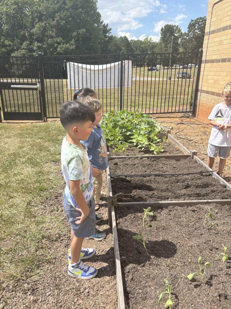 1st grade students