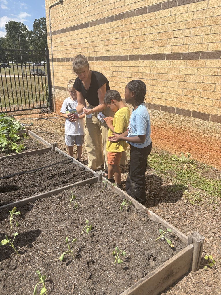 1st grade students