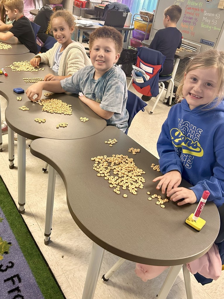 3rd grade students