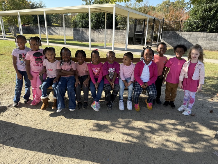 Today was Pink Out Day. 