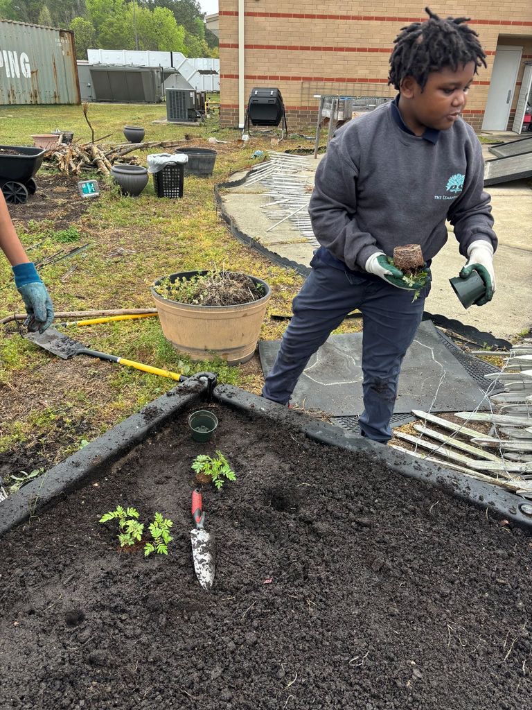 Science students planting the garden. 