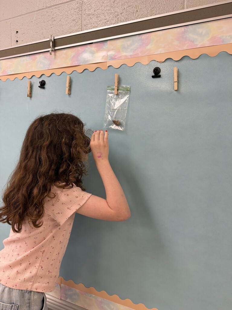 3rd grade students