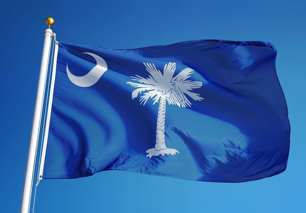 South Carolina state flag