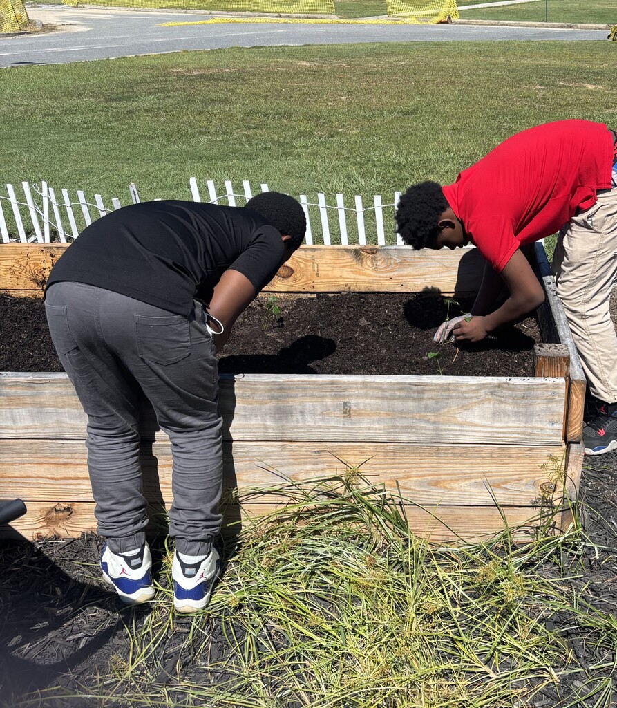 Students starting plants in the raised garden beds.