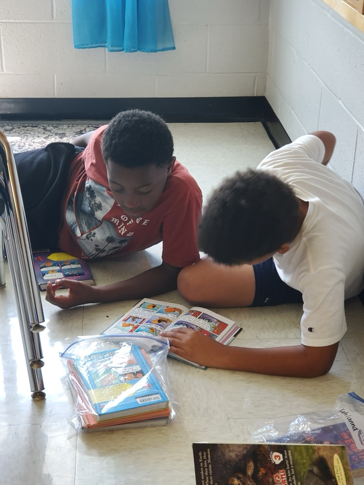 Students are partner reading. 