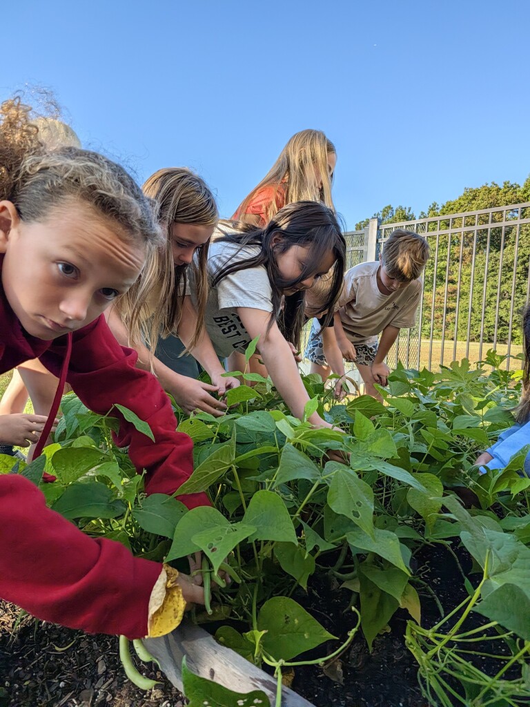 Gardeners