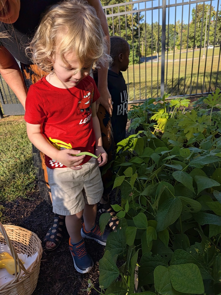 Gardeners