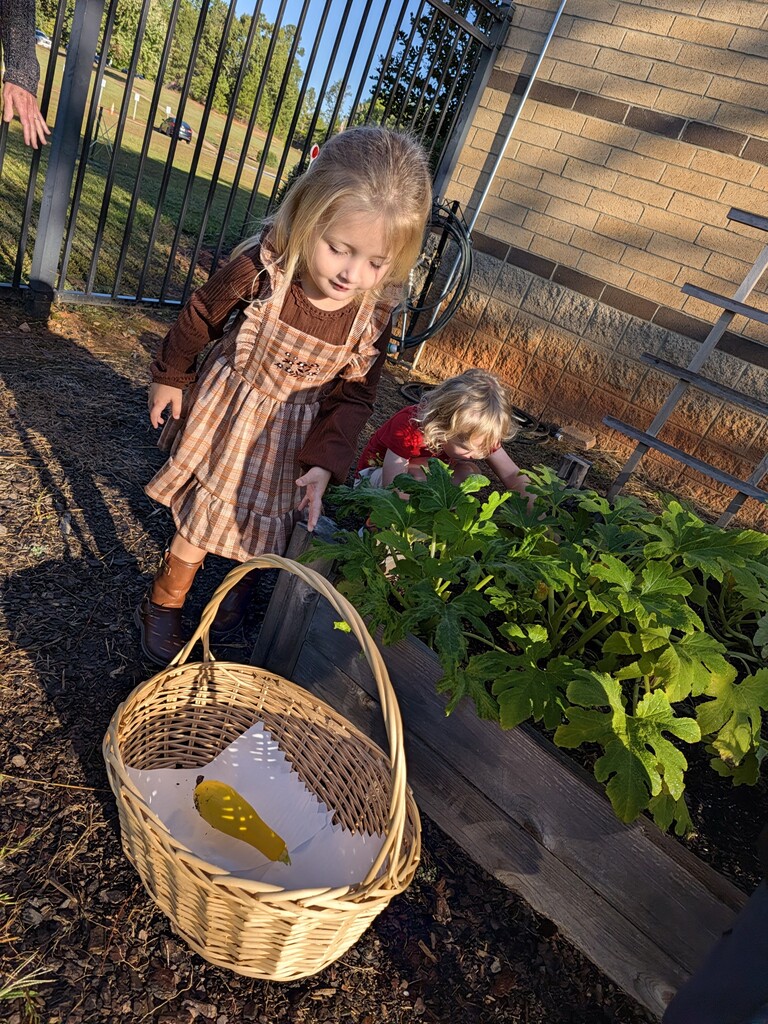 Gardeners
