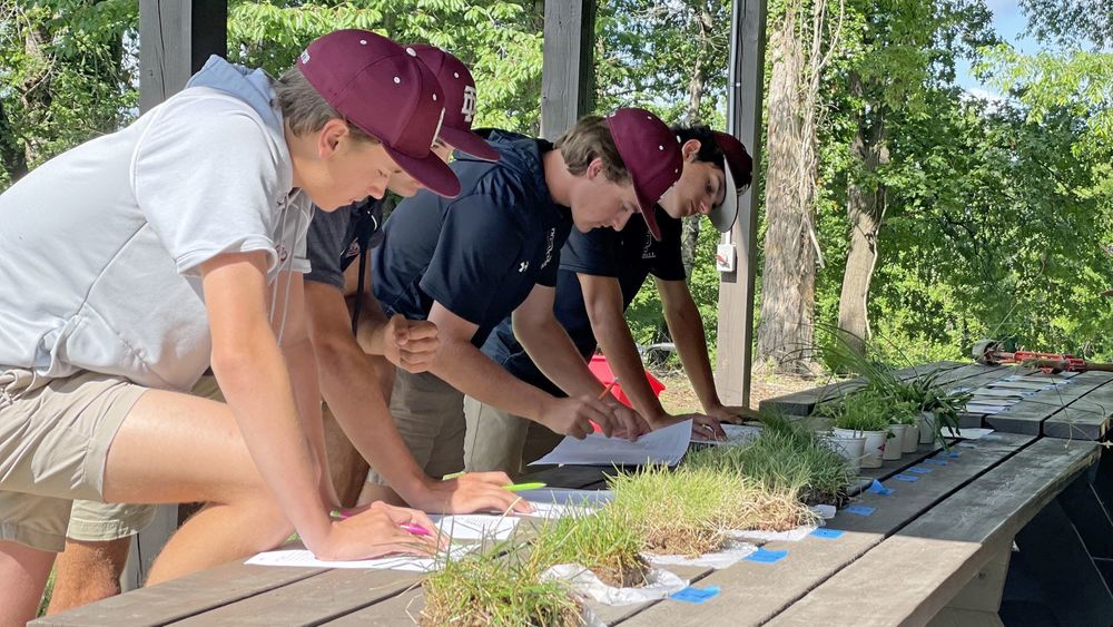 Turfgrass inspection