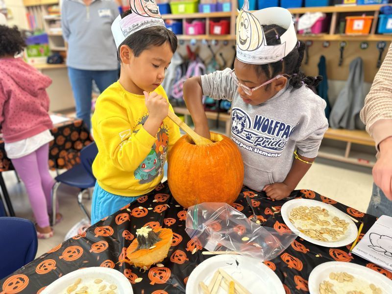 Winterpock investigations