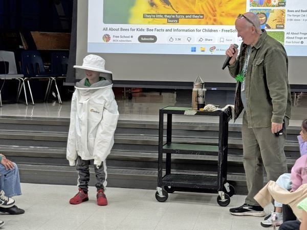 Students learning about bees