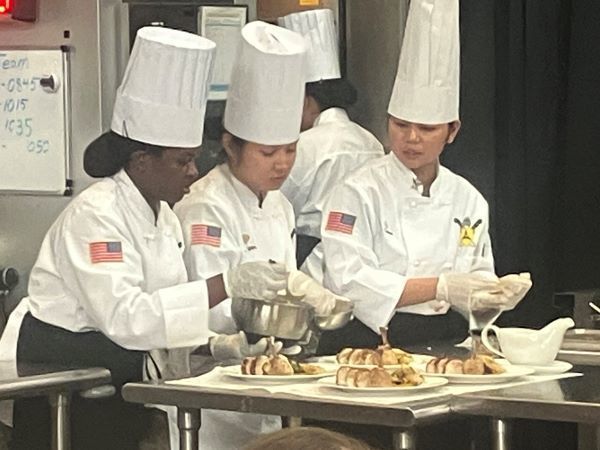 Professional chefs preparing meals