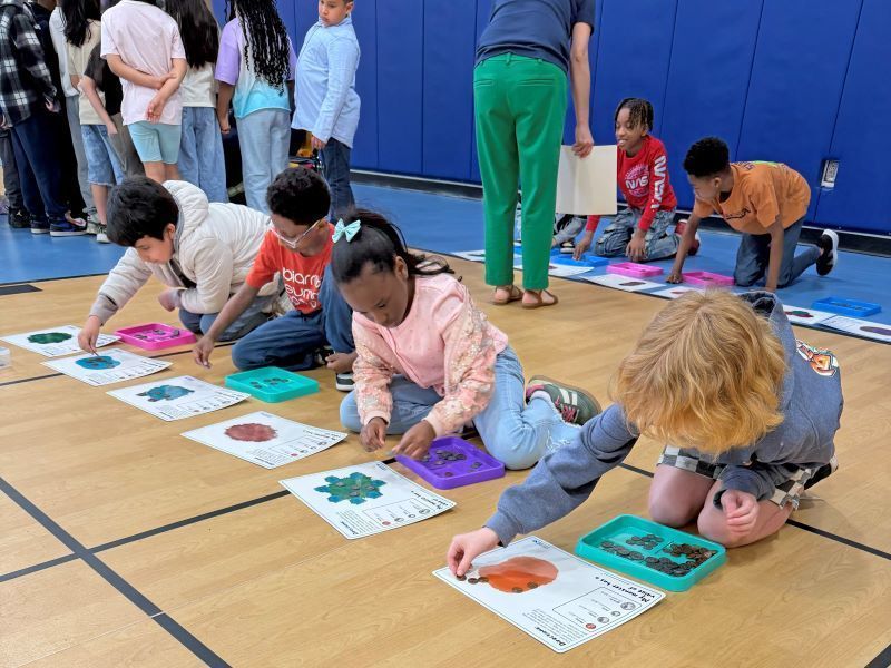 Students doing colorful finance-related worksheets