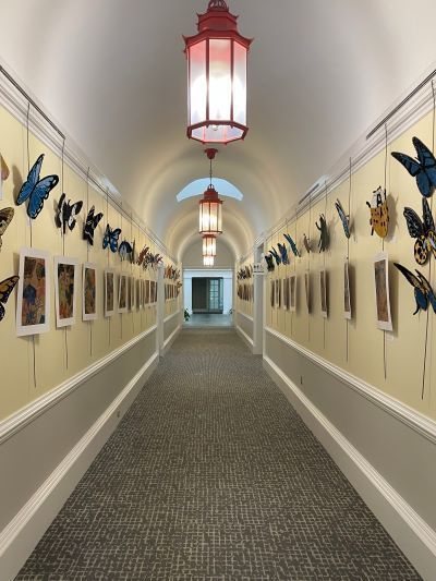 A hallways with butterfly art ont the walls