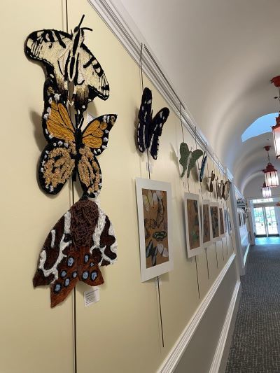 Close up of butterfly art on a wall