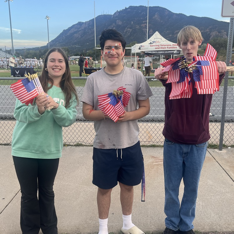 fan flags