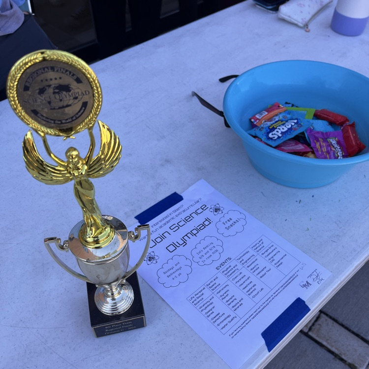 activities fair