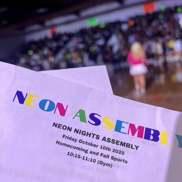 neon assembly