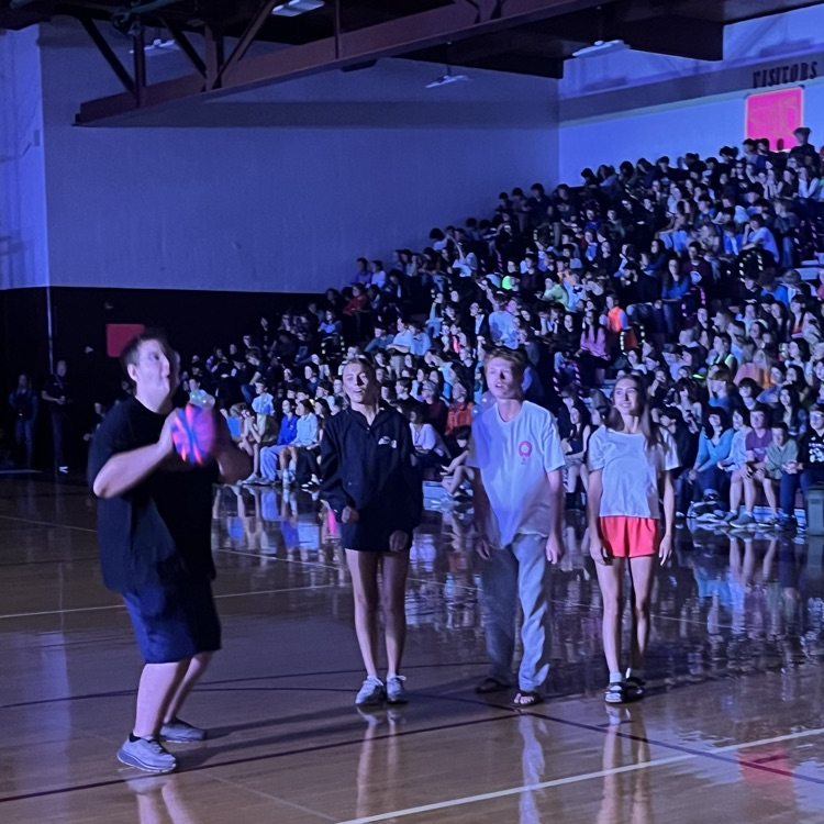 neon assembly