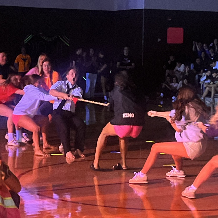 neon assembly