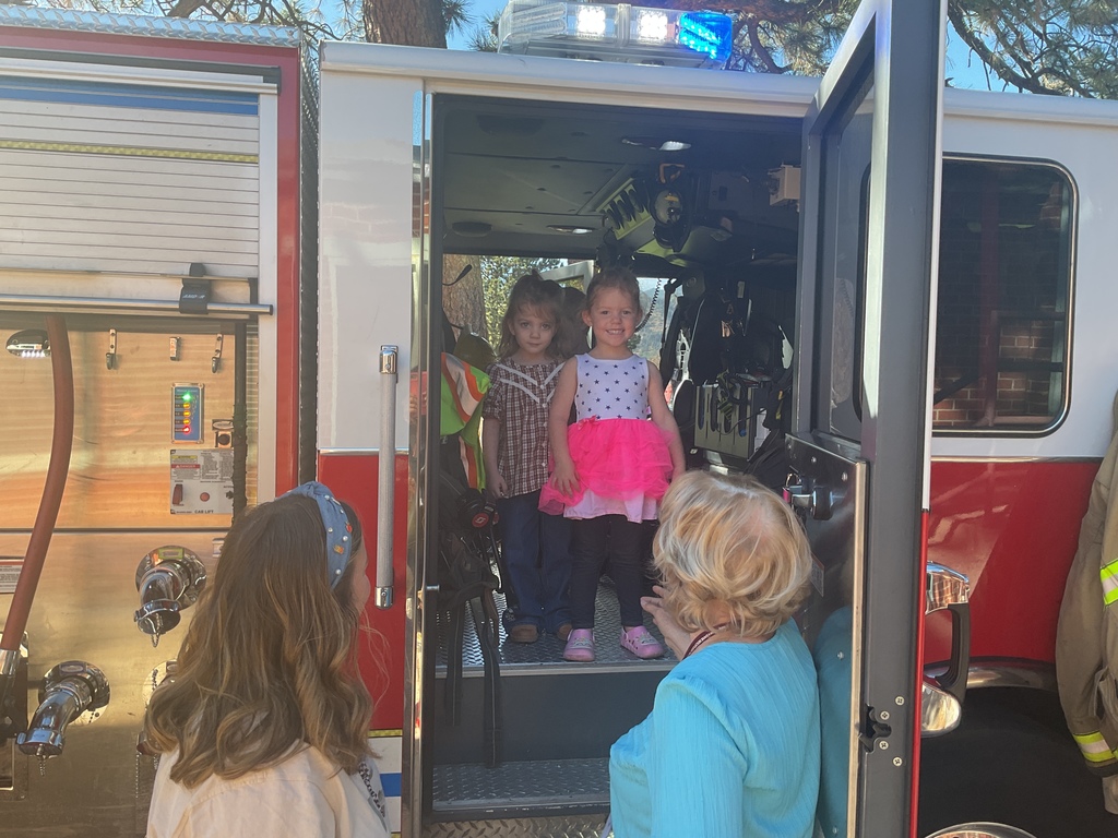 Engine 4 with the PM critters