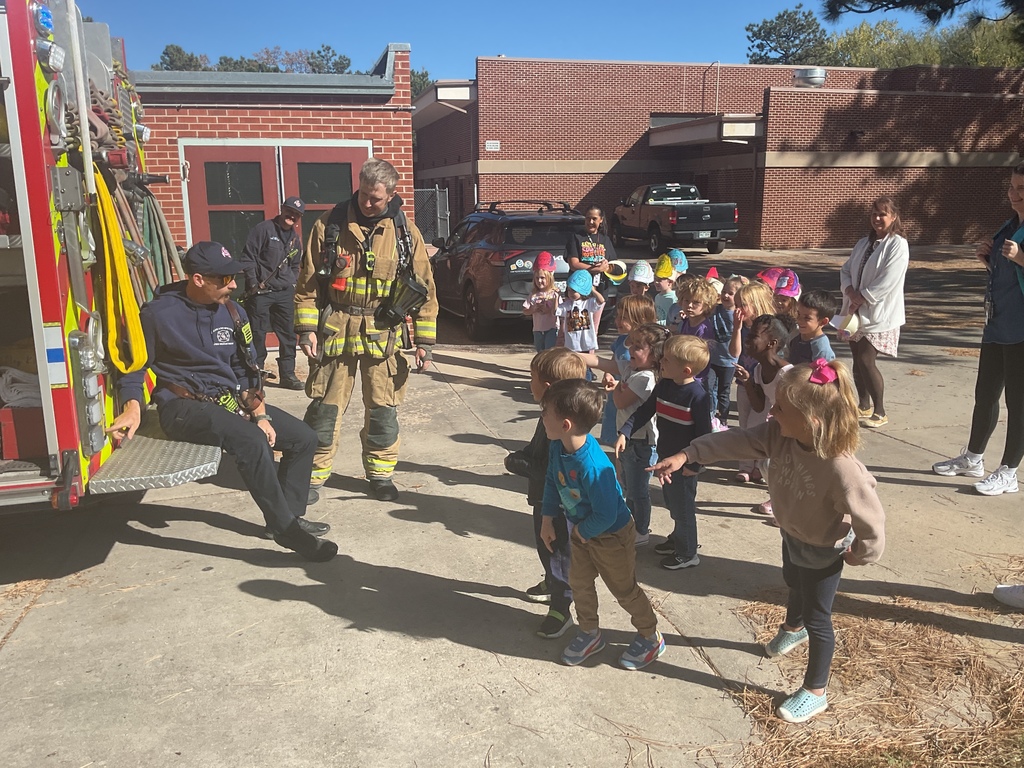 Engine 4 with the PM critters
