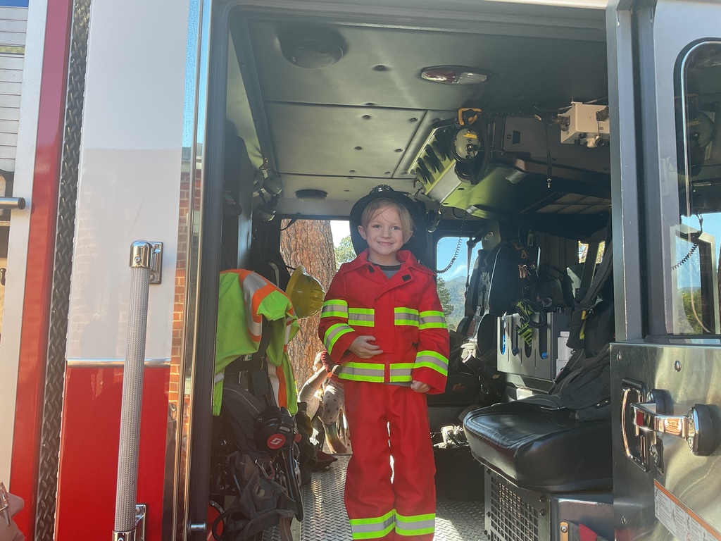 Engine 4 with the PM critters