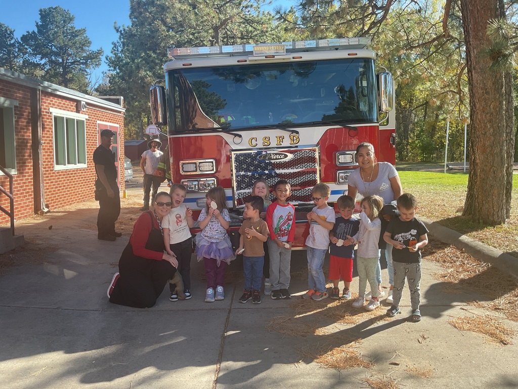 Engine 4 with the PM critters