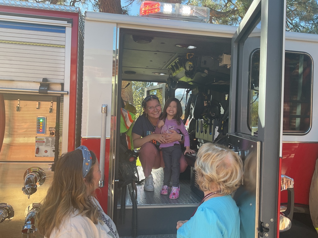 Engine 4 with the PM critters