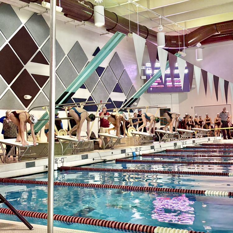 A competitive afternoon at today's CMHS girls varsity swim meet vs. Doherty HS - GO GAWKS🏊🏼♀️🏊🏽♀️🏊🏻♀️!!!